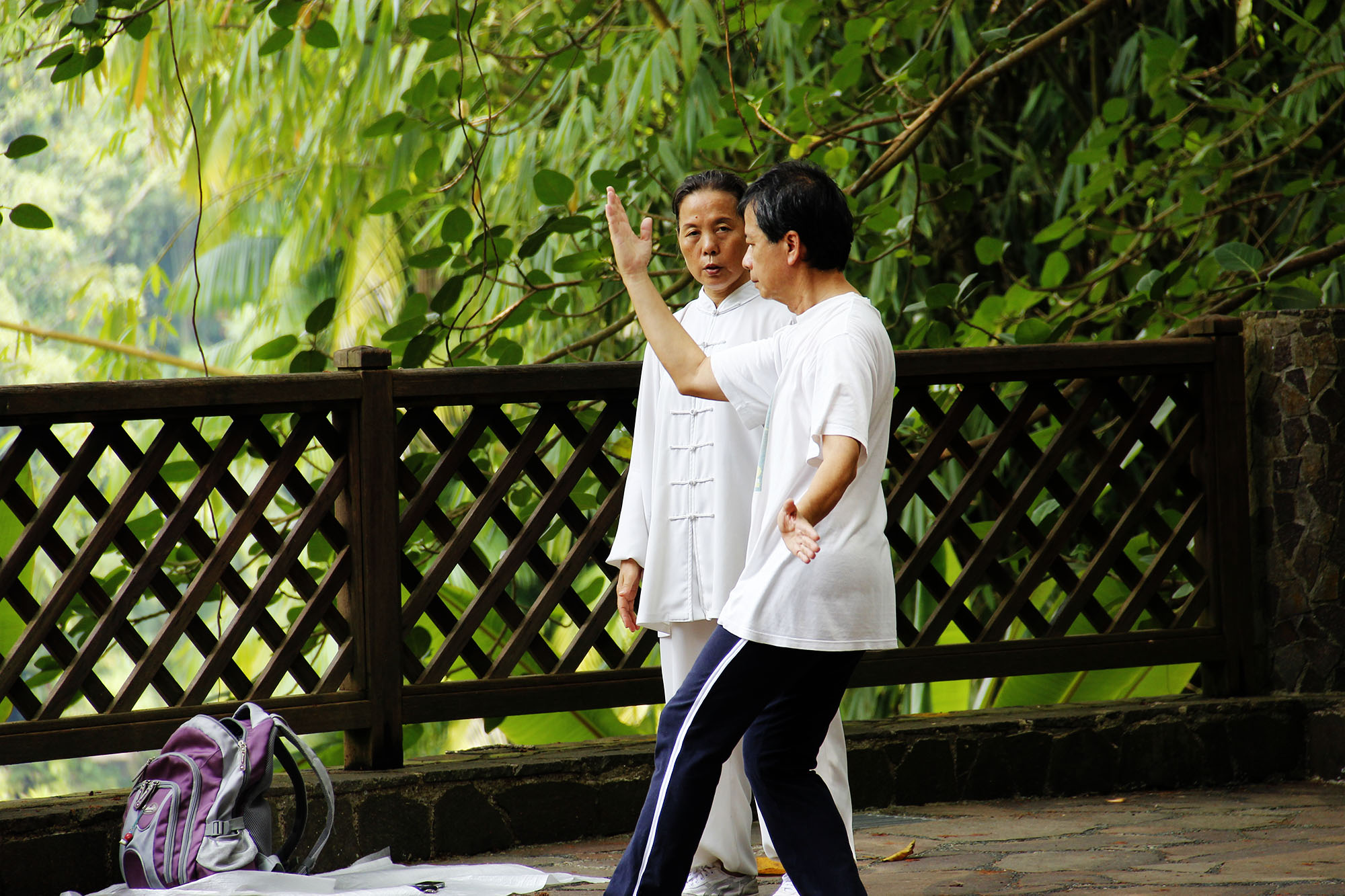 basta_orhideja_singapur_indonezija