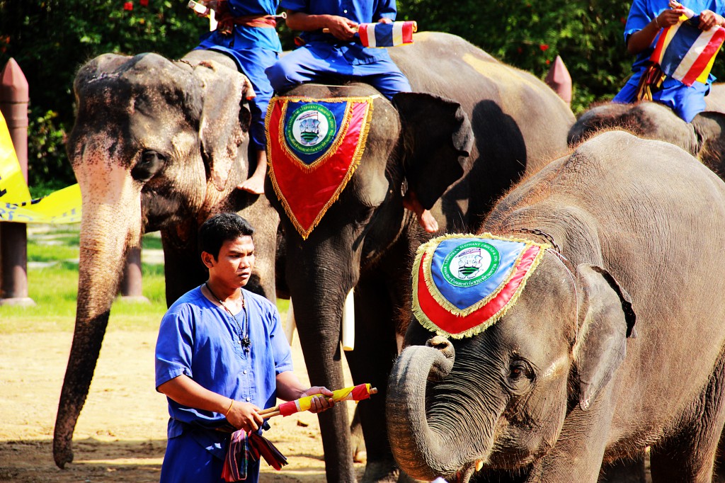 chatuchak pijaca